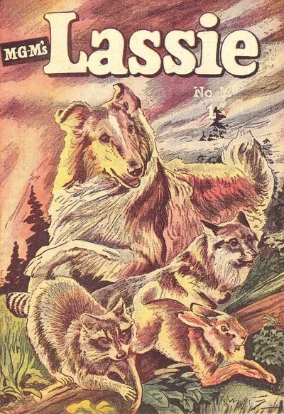 Cover of Issue #13