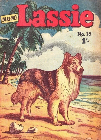 Cover of Issue #15