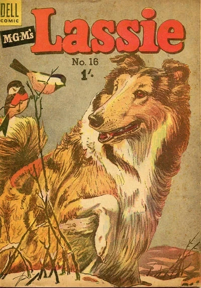 Cover of Issue #16