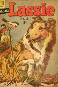 Issue #16