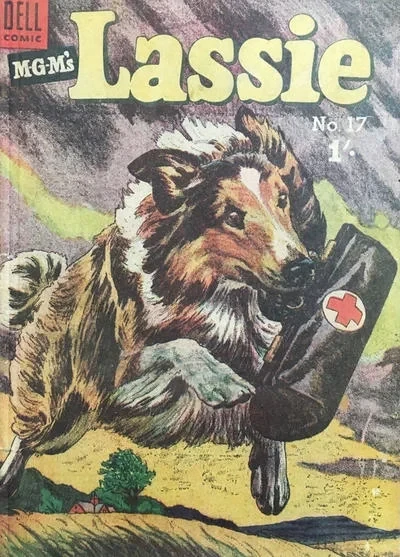 Cover of Issue #17