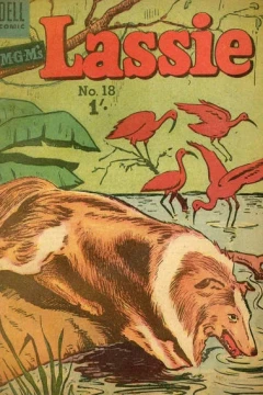 Issue #18