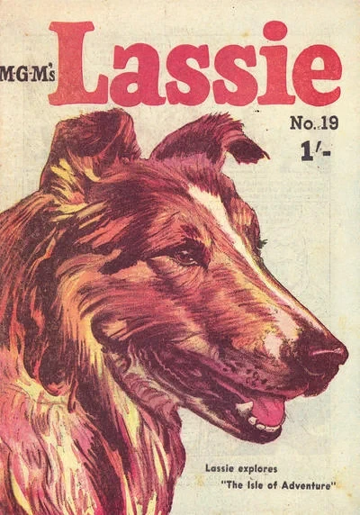 Cover of Issue #19