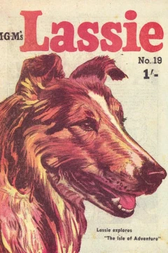 Issue #19