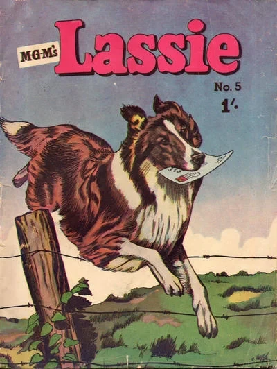 Cover of Issue #5