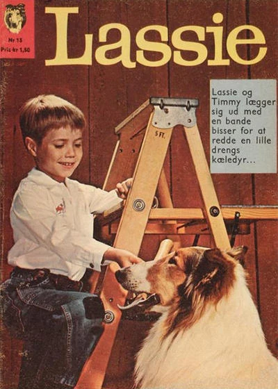 Cover of Issue #13