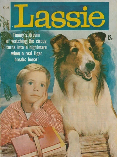 Cover of Issue #17-39