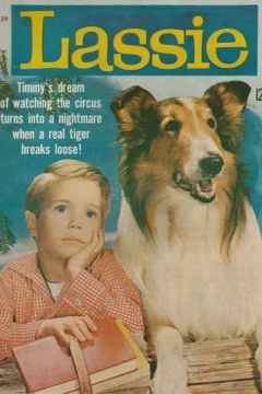 Issue #17-39