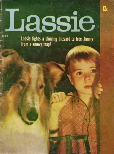 Cover of Issue #17-53
