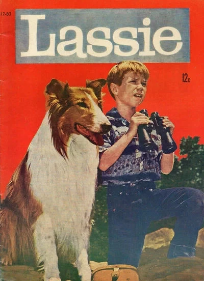 Cover of Issue #17-83