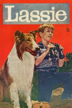 Issue #17-83