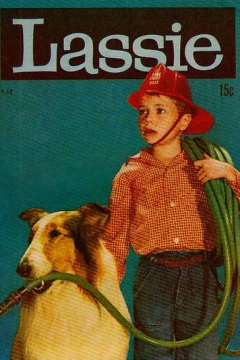 Issue #18-68