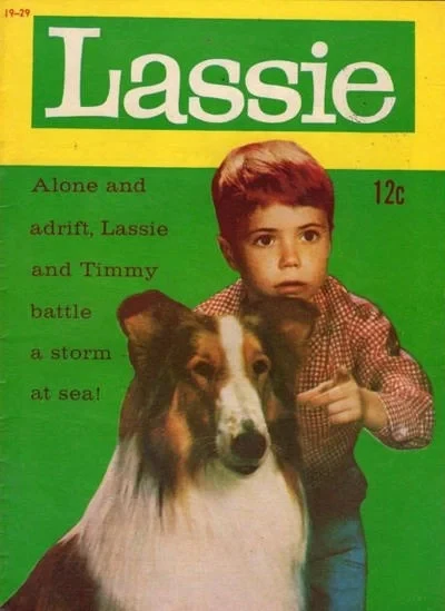 Cover of Issue #19-29