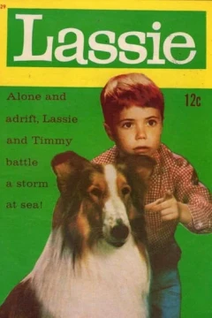 Issue #19-29