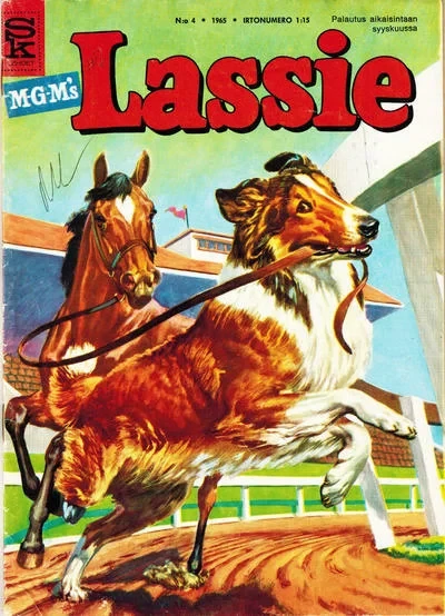 Cover of Issue #196504