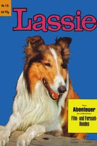 Issue #15