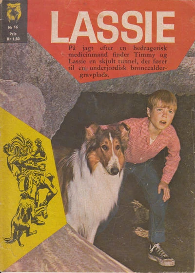 Cover of Issue #16