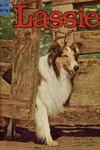 Issue #17