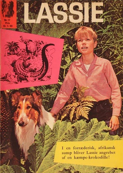 Cover of Issue #17