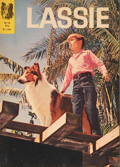 Cover of Issue #18
