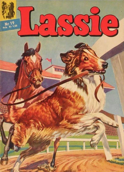 Cover of Issue #19