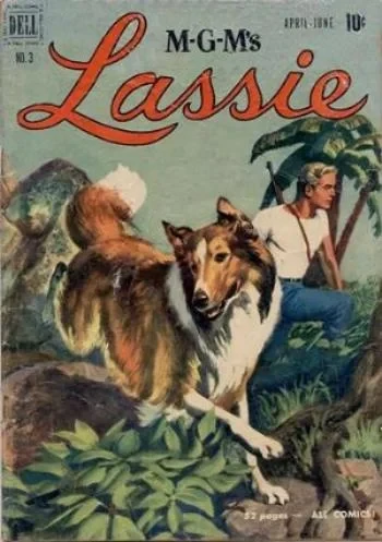 Cover of The Treasure Hunt