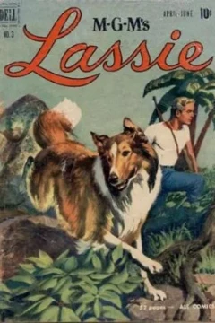 The Treasure Hunt