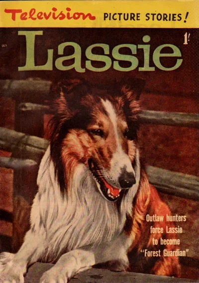 Cover of Forest Guardian