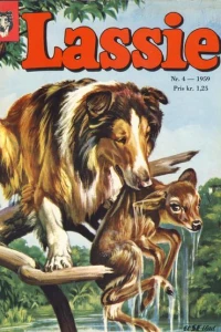Issue #195904