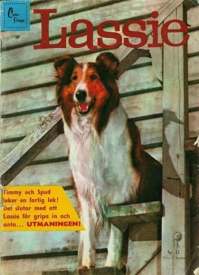 Cover of Issue #195913