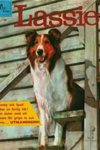 Issue #195913
