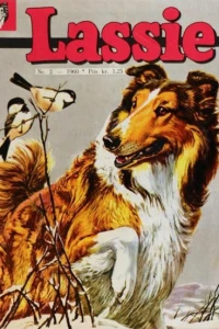 Issue #.196002