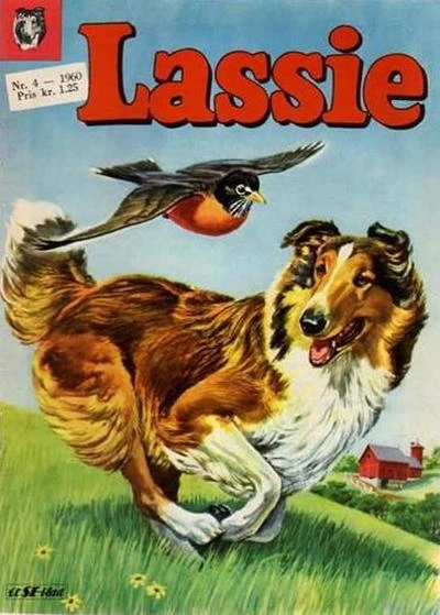Cover of Issue #196004