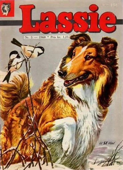 Cover of Issue #196005