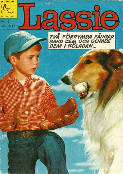 Cover of Issue #196017