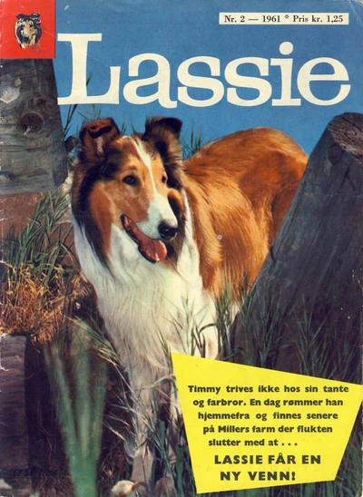Cover of Issue #196102