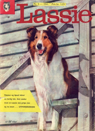 Cover of Issue #196105