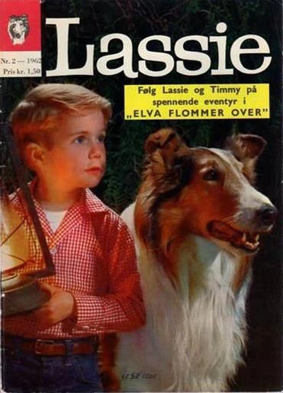 Cover of Elva Flommer Over