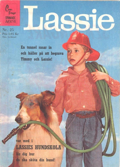 Cover of Issue #196225
