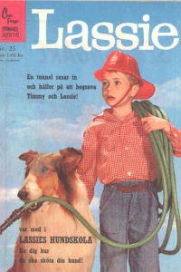 Issue #196225