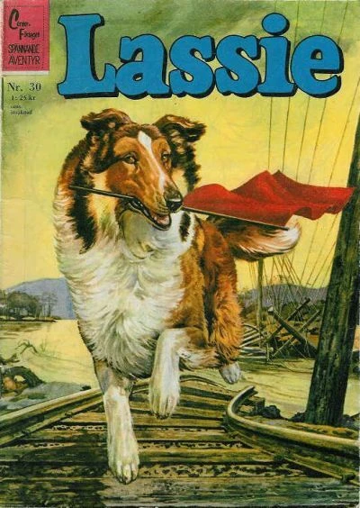 Cover of Issue #196230