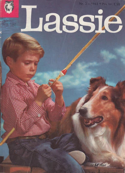 Cover of Issue #196302