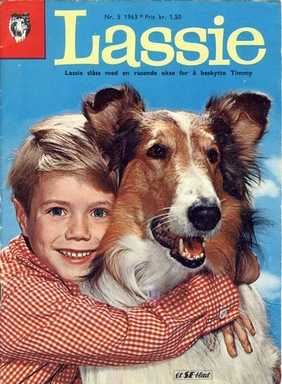 Cover of Issue #196305