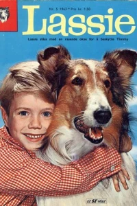 Issue #196305