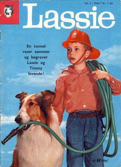 Cover of Issue #196402