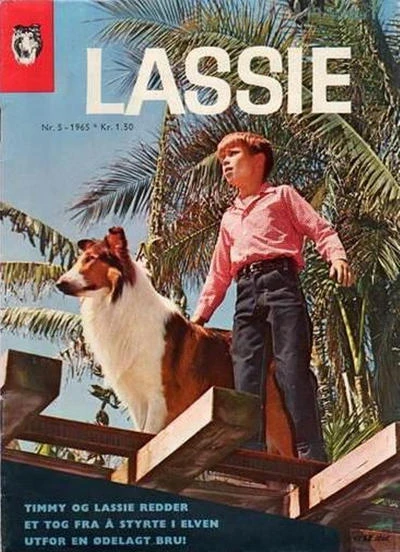 Cover of Issue #196505