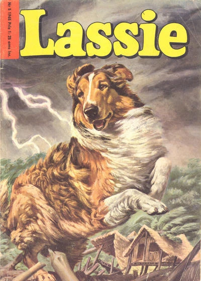 Cover of Issue #196505