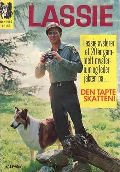 Cover of Issue #196602