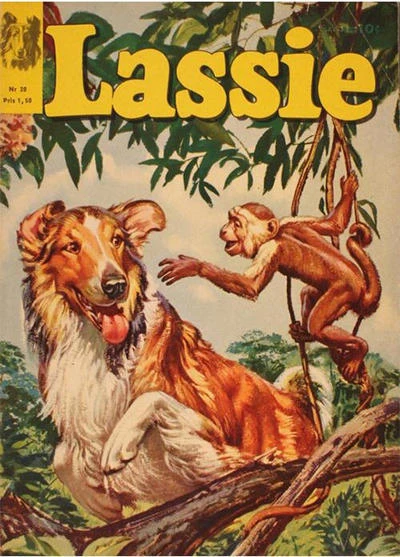 Cover of Issue #20