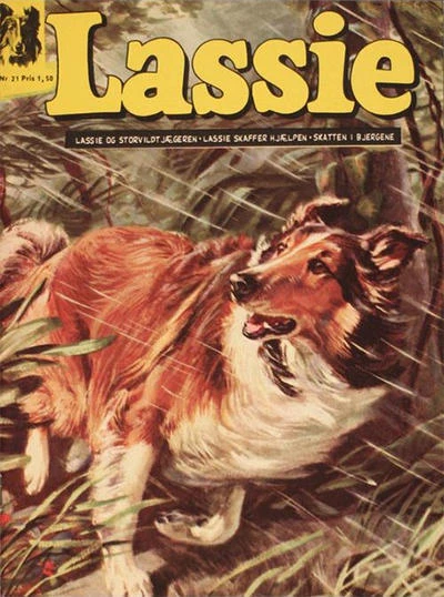Cover of Issue #21